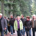 sidzina13 (10)